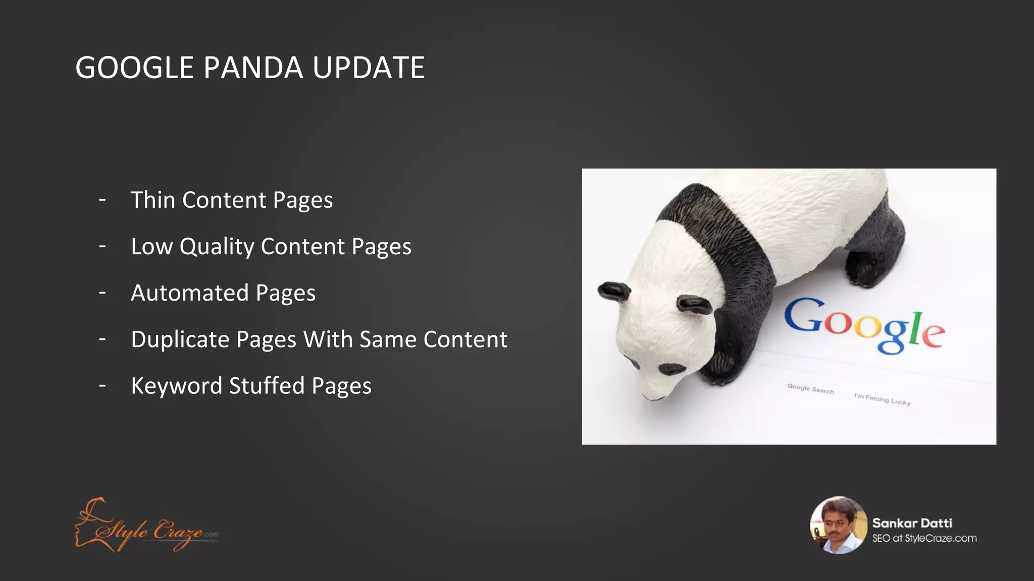 GOOGLE PANDA UPDATE

- Thin Content Pages
- Low Quality Content Pages
- Automated Pages
- Duplicate Pages With Same Content
- Keyword Stuffed Pages

 