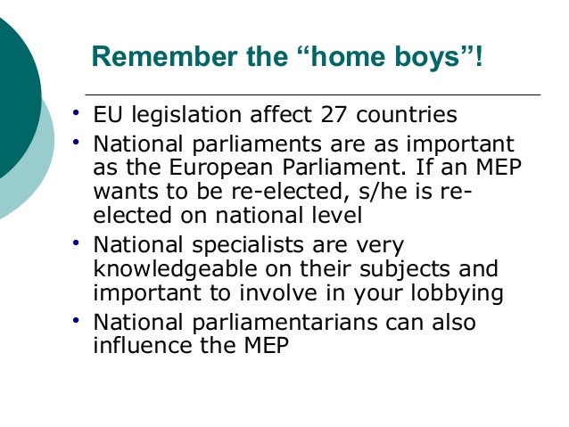 How to get a Black Belt in European Public Affairs Slide 10