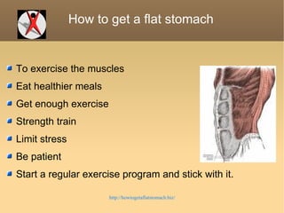 How to get a flat stomach  ,[object Object],[object Object],[object Object],[object Object],[object Object],[object Object],[object Object],http://howtogetaflatstomach.biz/ 
