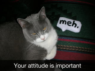 Your attitude is important
 
