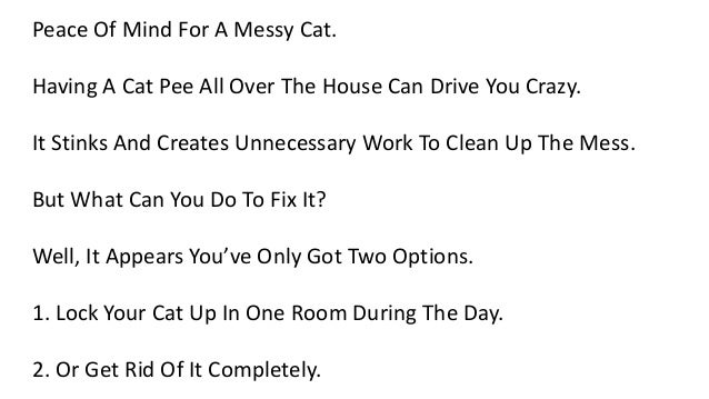 get smell out of carpet what gets cat urine smell out of carpet meze get smell out of carpet what gets cat urine smell out of carpet meze