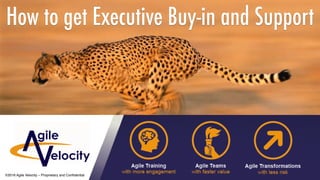 Copyright © 2016 Agile Velocity, LLC.  All Rights Reserved. AGILE VELOCITY PROPRIETARY
How to get Executive Buy-in and Support
©2016 Agile Velocity – Proprietary and Conﬁdential
 