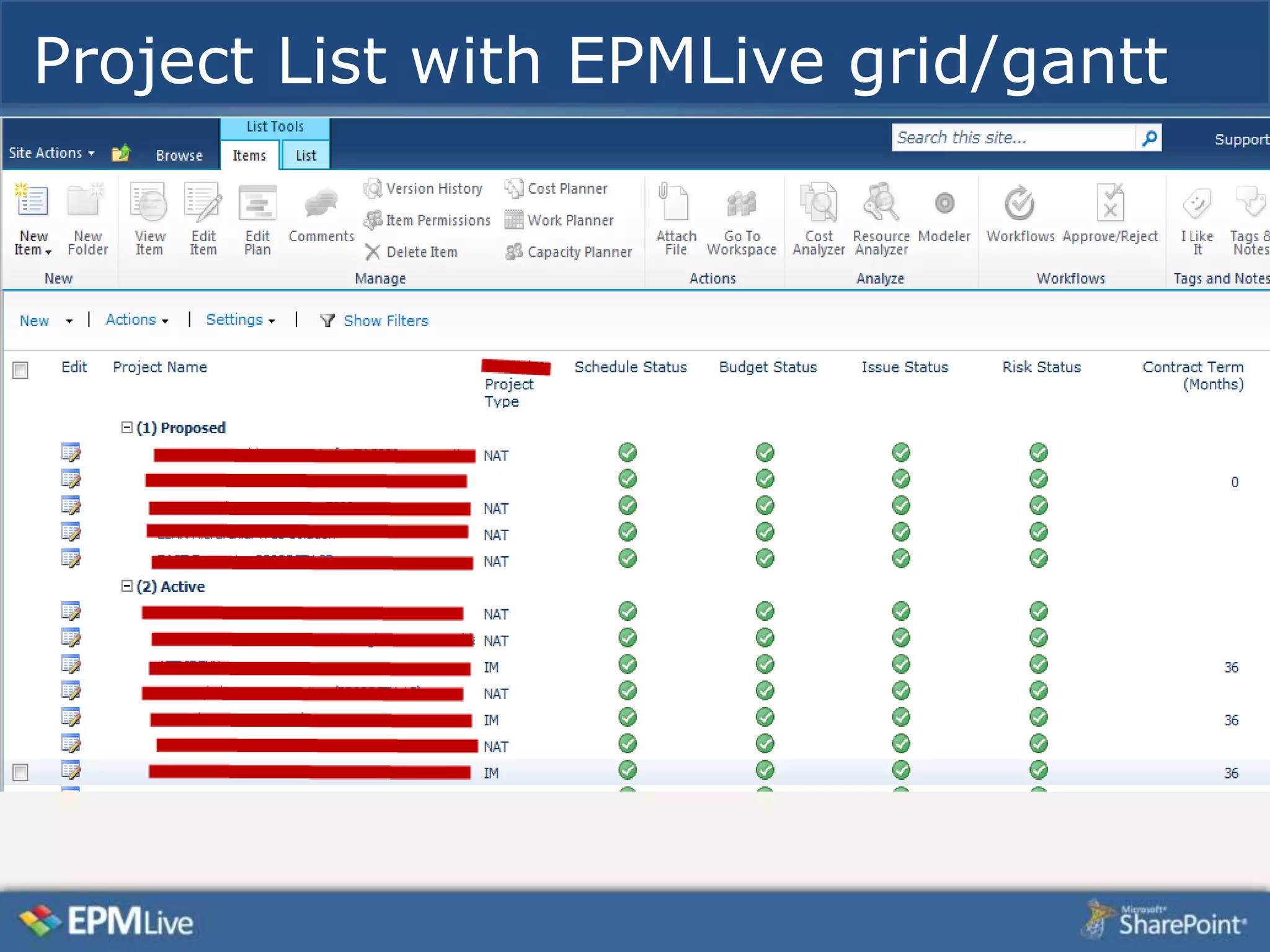 Project List with EPMLive grid/gantt
 