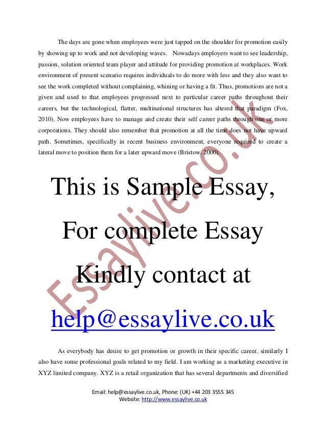 essay about promotion