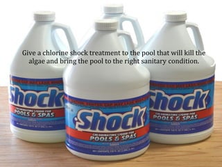 Great Description About Does Shock Kill Algae