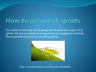 Our website is assisting you by giving details about how to get rid of
aphids. We give you details of integrated pest management methods.
These methods help you in controlling aphids.
http://www.pestremove.com/how-get-rid-aphids/
 