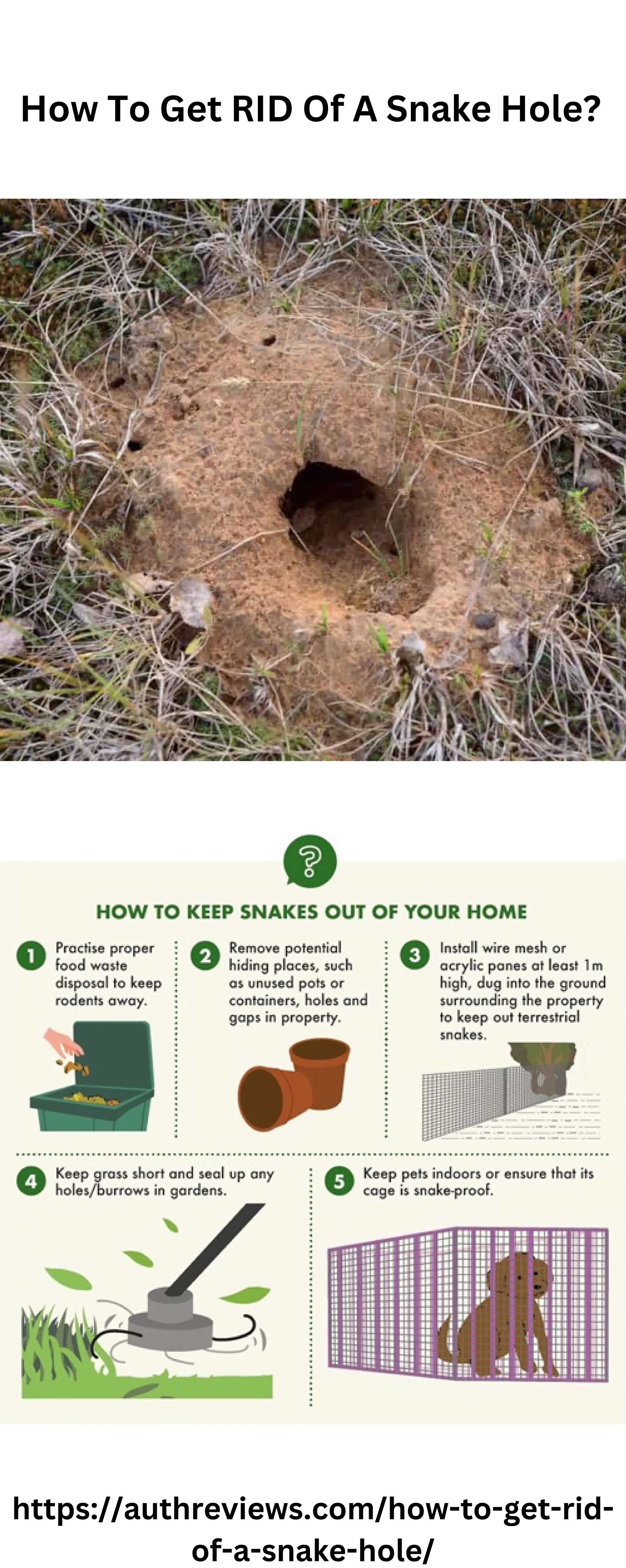 How To Get RID Of A Snake Hole.pdf