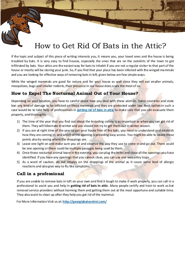 How to Get Rid Of Bats in the attic?
