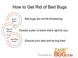 How to Get Rid of Bed Bugs

      Don’t         Bed bugs are not life threatening.
      Panic


Plan of
Action         Choose a plan of action that’s right for you.


     Bed Bug
      Free!         Execute your plan and be bug free!




                                Provided by
 