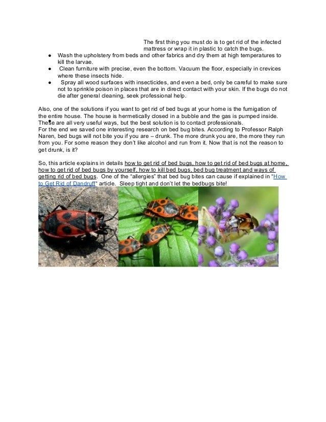 How to get rid of bed bugs how to kill bed bugs-
