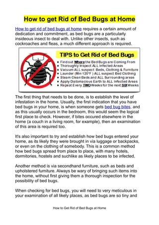 How to get Rid of Bed Bugs at Home
How to get rid of bed bugs at home requires a certain amount of
dedication and commitment, as bed bugs are a particularly
insideous insect to deal with. Unlike other insects, such as
cockroaches and fleas, a much different approach is required.




The first thing that needs to be done, is to establish the level of
infestation in the home. Usually, the first indication that you have
bed bugs in your home, is when someone gets bed bug bites, and
as this usually occurs in the bedroom, this would seem the logical
first place to check. However, if bites occured elsewhere in the
home (a couch in a living room, for example), then an examination
of this area is required too.

It's also important to try and establish how bed bugs entered your
home, as its likely they were brought in via luggage or backpacks,
or even on the clothing of somebody. This is a common method
how bed bugs spread from place to place, with many hotels,
dormitories, hostels and suchlike as likely places to be infected.

Another method is via secondhand furniture, such as beds and
upholstered furniture. Always be wary of bringing such items into
the home, without first giving them a thorough inspection for the
possibility of bed bugs.

When checking for bed bugs, you will need to very meticulous in
your examination of all likely places, as bed bugs are so tiny and

                    How to Get Rid of Bed Bugs at Home
 