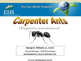 ©
(Camponotus pennsylvanicus)
George E. Williams Jr., A.C.E.
General Manager - Staff Entomologist
ENVIRONMENTAL HEALTH SERVICES, INC.
 