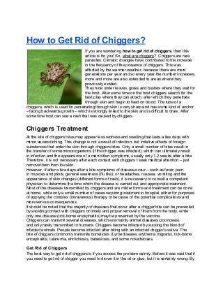 How to Get Rid of Chiggers?
If you are wondering how to get rid of chiggers, then this
article is for you! So, what are chiggers? Chiggers are rare
parasites. Climatic changes have contributed to the increase
in the frequency of the presence of chiggers. This was
affected by the warmer weather, because there are more
generations per year and so every year the number increases,
more and more are also extended to areas where they
previously existed.
They hide under leaves, grass and bushes where they wait for
the host. After some time on the host chiggers search for the
best play where they can attach, after which they penetrate
through skin and begin to feed on blood. The tube of a
chiggers, which is used for penetrating through skin is very sharp and has some kind of anchor
– facing backwards growth – which is strongly linked to the skin and is difficult to draw. After
some time host can see a rash that was caused by chiggers.
Chiggers Treatment
At the site of chiggers bites may appear less redness and swelling that lasts a few days with
minor severe itching. This change is not a result of infection, but irritative effects of foreign
substances that enter the skin through chiggers bites. Only a small number of bites result in
the transfer of some microorganisms (if the chigger was infected), which can ultimately result
in infection and the appearance of a man bitten symptoms, usually only 1-2 weeks after a bite.
Therefore, it is not necessary after each contact with chiggers t seek medical attention – just
remove them from the skin.
However, if after a few days after a bite symptoms of disease occur – such as fever, pain
in muscles and joints, general weakness (flu like), or headaches, nausea, vomiting and the
appearance of skin changes (different forms of rash), it is necessary to consult a competent
physician to determine the time which the disease is carried out and appropriate treatment.
Most of the diseases transmitted by chiggers and are milder forms and treatment can be done
at home, while only a small number of cases requiring treatment in hospital, either for purposes
of applying the complex (intravenous) therapy or because of the potential complications and
more serious consequences.
It should be noted that the majority of diseases that occur after a chigger bite can be prevented
by avoiding contact with chiggers or timely and proper removal of them from the body, while
only one disease (tick-borne encephalitis) may be prevented by the vaccine.
Chiggers can transmit several diseases, which are mainly animal diseases (zoonoses),
and only rarely transmitted to humans. Chiggers become infected by sucking the blood of
infected animals. People become infected after biting with an infected chigger’s saliva. The
bite of chiggers commonly transmits borreliosis (Lyme disease, erythema migrans), tick-borne
encephalitis, tularemia, ehrlichiosis, babesiosis, and some rickettsioses.
Get Rid of Chiggers
The best way to get rid of chiggers is if you access the problem calmly. Before it was said that if
you need to get rid of chigger you need to drown it in the oil or glue, but it is certainly wrong. By
 