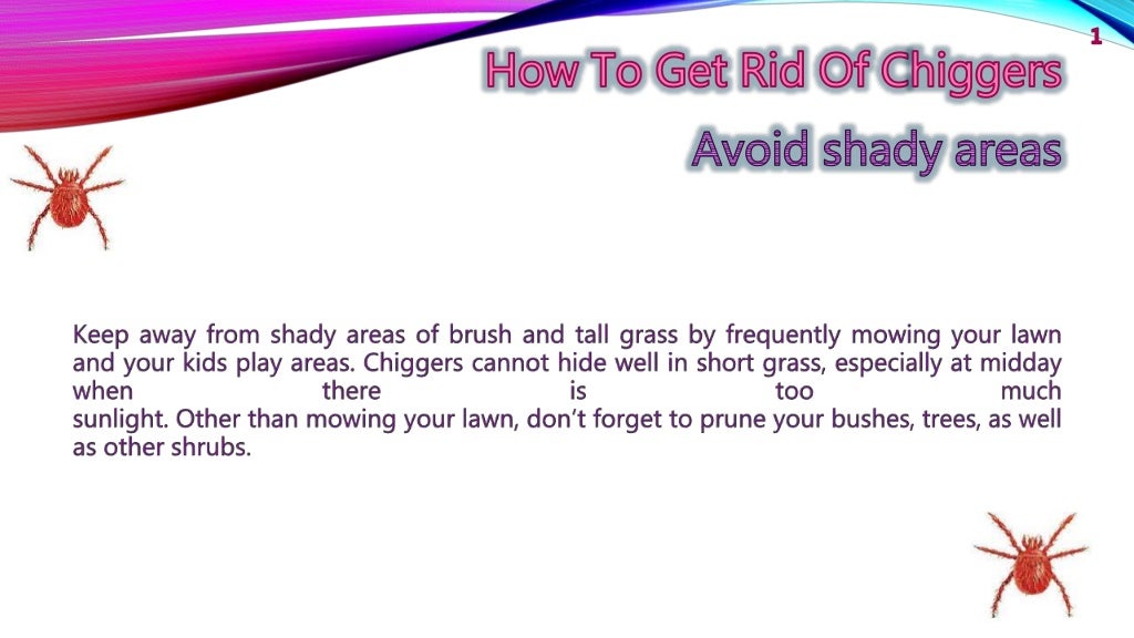 How to Get Rid of Chiggers