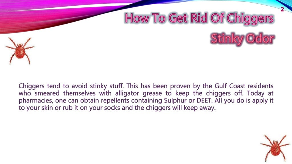 How to Get Rid of Chiggers