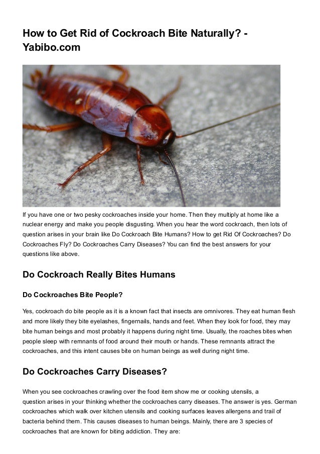 How to get rid of cockroach bite naturally yabibo
