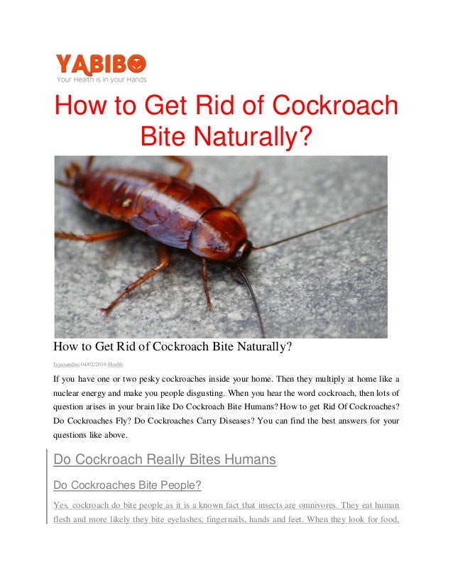 How to get rid of cockroach bite naturallypdf3