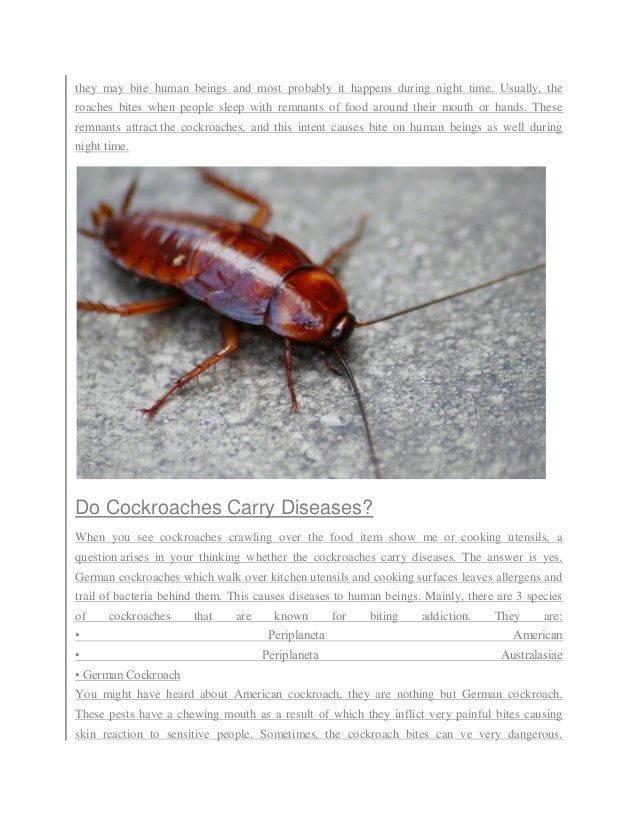 how do you get rid of cockroaches at home
