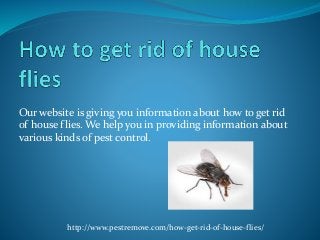 Our website is giving you information about how to get rid
of house flies. We help you in providing information about
various kinds of pest control.
http://www.pestremove.com/how-get-rid-of-house-flies/
 