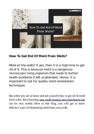 How To Get Rid Of Mold From Walls?
Mold on the walls? If yes, then it is a high-time to get
rid of it. This is because mold is a dangerous
microscopic living organism that leads to further
health problems if left unattended. Hence, it is
important to opt for quality mold remediation
techniques.
But when you are at home and ask yourself how to get rid of mold
from walls, then knowing easy mold cleanup and remediation tips
can be very useful. Here in this blog, you will get to know
effective ways of eliminating mold from your walls.
 