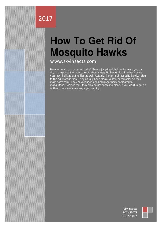 How to get rid of mosquito hawks