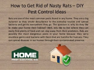 How to Get Rid of Nasty Rats – DIY
Pest Control Ideas
Rats are one of the most common pests found in any home. They are a big
nuisance as they create disturbance to the everyday routine and spread
bacteria and germs everywhere they go. The question is: why do they like
to make your home their habitat? Well, rats like to live where they can
easily find plenty of food and can stay away from their predators. Rats are
possibly the most dangerous pests in your home because they carry
countless germs and bacteria with them that are harmful for humans. They
can spread diseases in our homes through their contaminated presence.
 