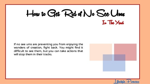 How To Get Rid Of No See Ums In The Yard