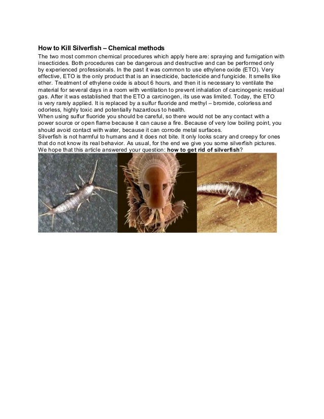 how to get rid of silverfish in your home uk