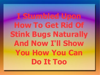 I Stumbled Upon
 How To Get Rid Of
Stink Bugs Naturally
 And Now I'll Show
 You How You Can
      Do It Too
 
