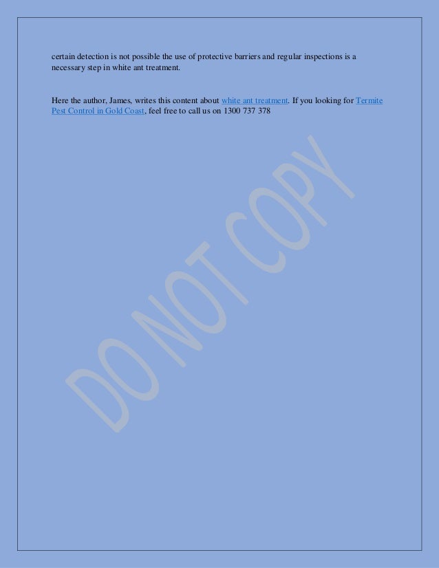 White Ant Treatment and Prevention