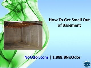 How To Get Smell Out
of Basement

NoOdor.com | 1.888.8NoOdor

 