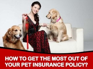 HOW TO GET THE MOST OUT OF
YOUR PET INSURANCE POLICY?

 