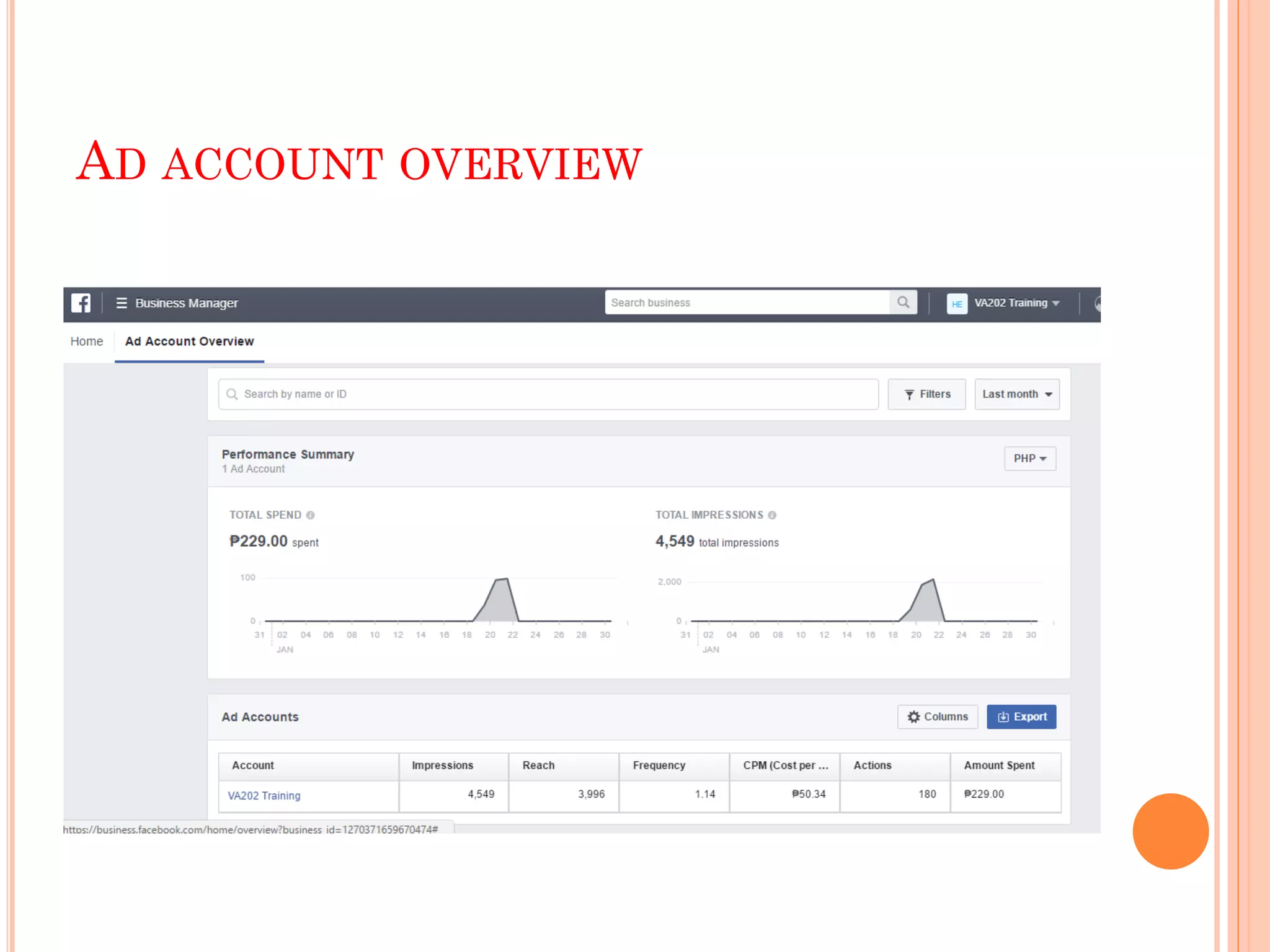 AD ACCOUNT OVERVIEW
 