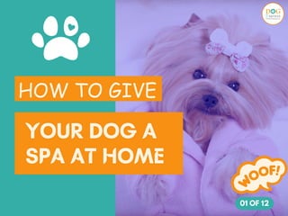 HOW TO GIVE
YOUR DOG A
SPA AT HOME
01 OF 12
 