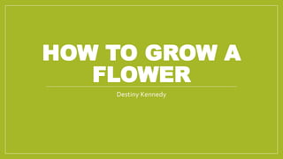 HOW TO GROW A
FLOWER
Destiny Kennedy
 