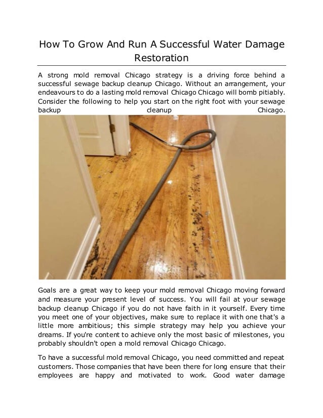 How To Grow And Run A Successful Water Damage Restoration