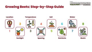 How to Grow BEET.pdf