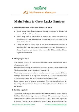 Edited by: Queensa Hu/Meume Garden Email: oversea@meumegarden.com
Main Points to Grow Lucky Bamboo
1. Defoliate the leaves on the base and cut the bevel
a. Before put the lucky bamboo into the bottom, we suggest to defoliate the
leaves on the base of the bamboo stem.
b. Take a sharp knife to cut the base of bamboo into a bevel, the knife-edge
should be flat and smooth, to increase the absorption area of the bevel for the
moist and the nutrient.
c. Change the water every 3-4 days. A few pieces of small charcoal could be
added into the water to prevent the stem from being rotten. Remember not to
change the position and direction of the stem within 10 days, it takes 15 days
to grow the fibrous root.
2. Changing the water
After the root is ready, we suggest only adding some water into the bottle instead
of changing the water.
Changing the water frequently will make the leaves and stem yellow and withered.
The best water for it is the water directly from the well.
When using tap water, it is better to keep the water in some ware for 24 hours.
During it, the water should be kept clean and fresh. Don’t use the dirty water, hard
water and the water with oil, or the root would be easy to get rotten.
Lucky bamboo prefer to a humid environment. When the atmosphere is too dry,
the leaf tip will get scorched. If so, you should drop the water into the leaves and
the branches.
3. Fertilize regularly
To avoid the bamboo growing-excessively, it is not recommended to use Chemical
Fertilizer. It had better to drip a few drop of Brandy (White wine) every 1-2 month,
adding a few nutrient solution. You can also cruse down a piece of the Aspirin pill
or Vitamin C, to mix the pill powder with 500ml of water. When adding the water
 
