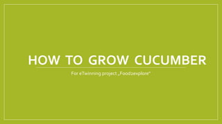 HOW TO GROW CUCUMBER
For eTwinning project „Food2explore“
 