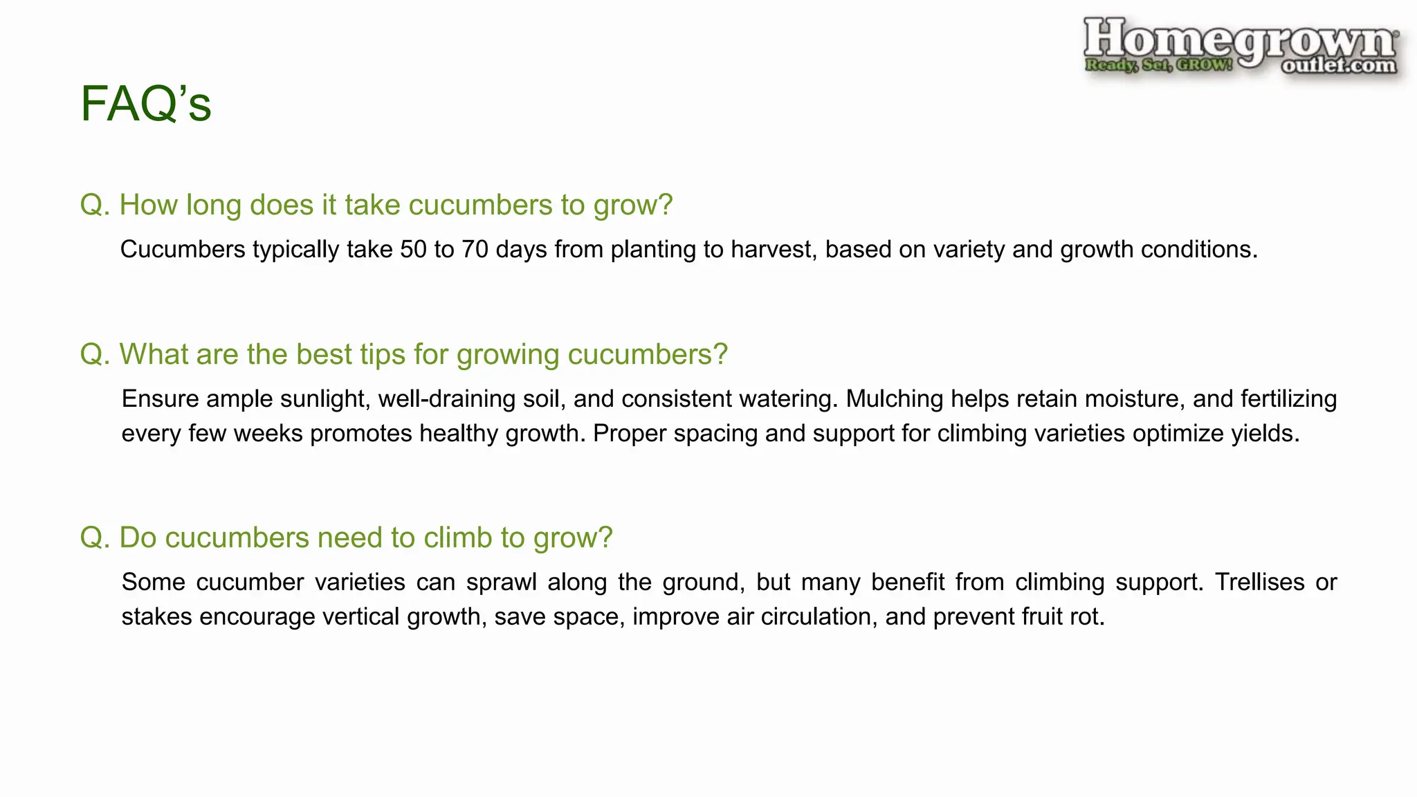 FAQ’s
Q. How long does it take cucumbers to grow?
Q. Do cucumbers need to climb to grow?
Q. What are the best tips for growing cucumbers?
Cucumbers typically take 50 to 70 days from planting to harvest, based on variety and growth conditions.
Ensure ample sunlight, well-draining soil, and consistent watering. Mulching helps retain moisture, and fertilizing
every few weeks promotes healthy growth. Proper spacing and support for climbing varieties optimize yields.
Some cucumber varieties can sprawl along the ground, but many benefit from climbing support. Trellises or
stakes encourage vertical growth, save space, improve air circulation, and prevent fruit rot.
 