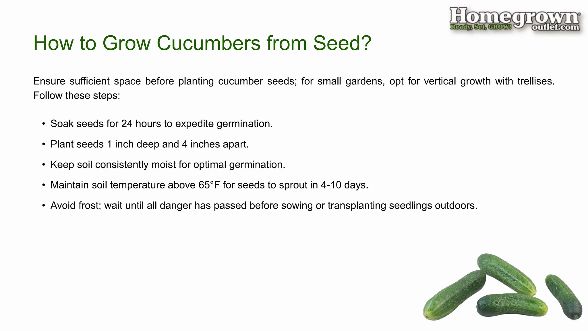 Ensure sufficient space before planting cucumber seeds; for small gardens, opt for vertical growth with trellises.
Follow these steps:
How to Grow Cucumbers from Seed?
• Soak seeds for 24 hours to expedite germination.
• Plant seeds 1 inch deep and 4 inches apart.
• Keep soil consistently moist for optimal germination.
• Maintain soil temperature above 65°F for seeds to sprout in 4-10 days.
• Avoid frost; wait until all danger has passed before sowing or transplanting seedlings outdoors.
 