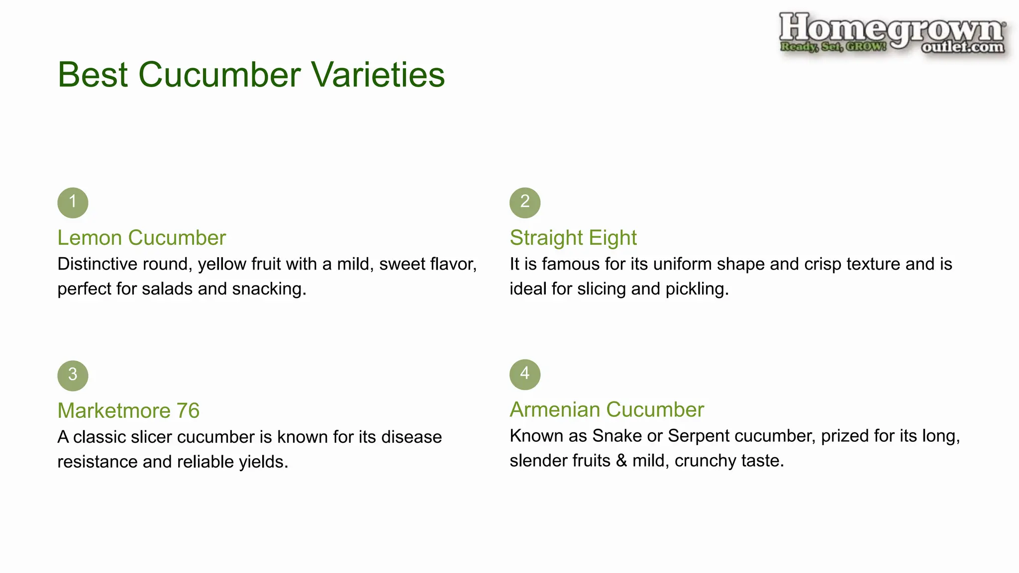 Best Cucumber Varieties
Lemon Cucumber
Distinctive round, yellow fruit with a mild, sweet flavor,
perfect for salads and snacking.
1
Armenian Cucumber
4
Straight Eight
2
Known as Snake or Serpent cucumber, prized for its long,
slender fruits & mild, crunchy taste.
It is famous for its uniform shape and crisp texture and is
ideal for slicing and pickling.
Marketmore 76
A classic slicer cucumber is known for its disease
resistance and reliable yields.
3
 