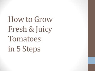 How to Grow
Fresh & Juicy
Tomatoes
in 5 Steps
 
