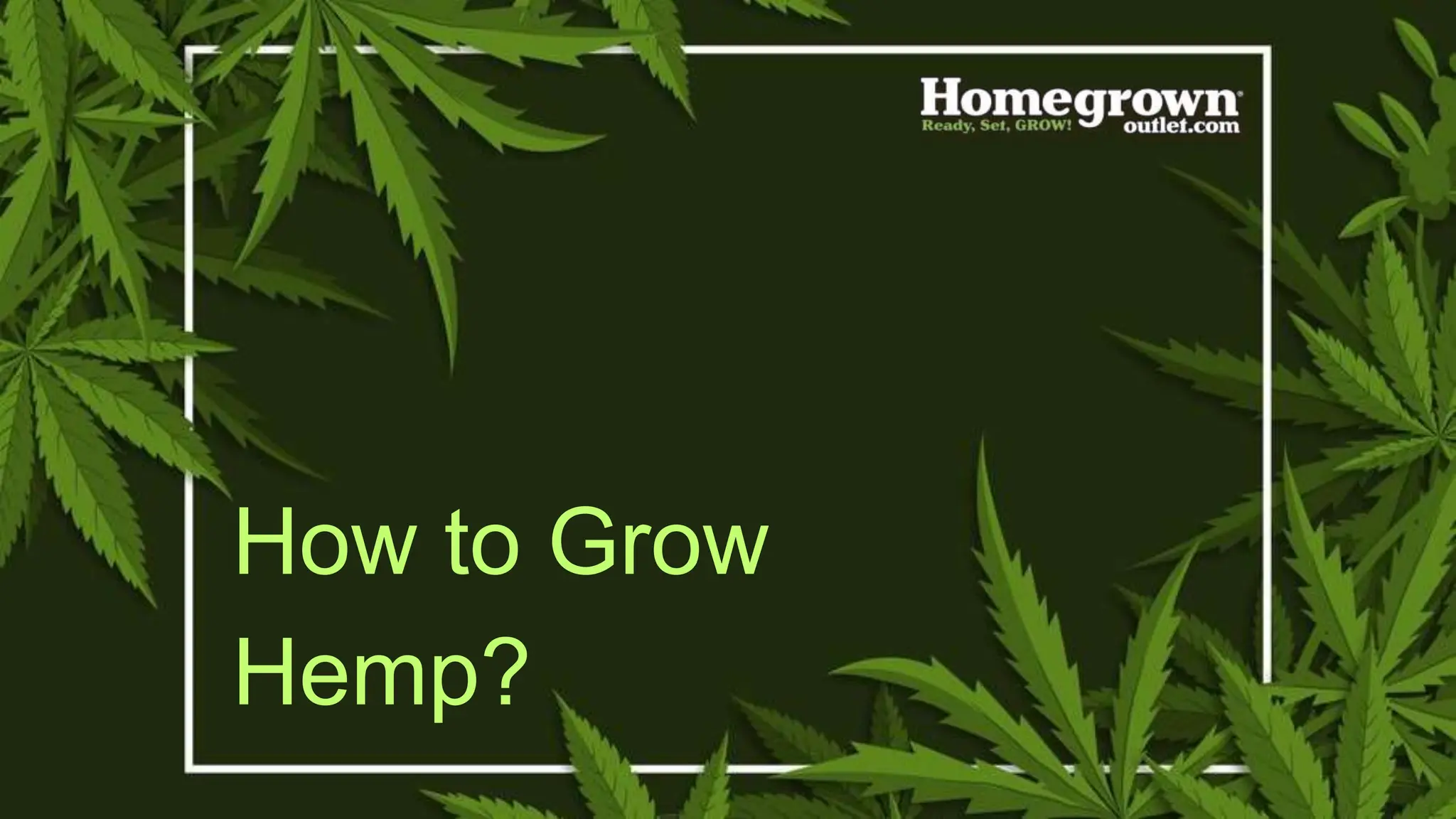 How to Grow Hemp? PPT