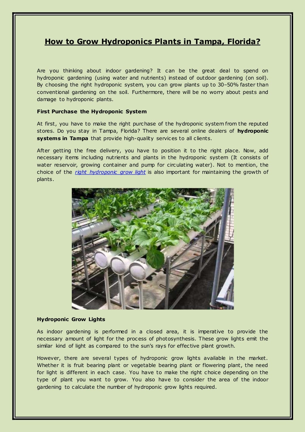 How To Grow Hydroponics Plants In Tampa Florida 