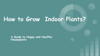 How to Grow Indoor Plants?
A Guide to Happy and Healthy
Houseplants
 