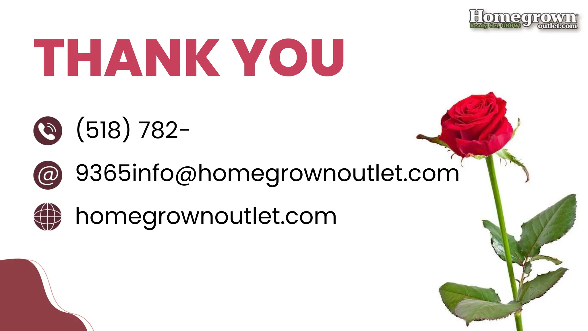 How to Grow Rose? | PDF