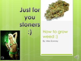 How to grow
weed :)
By: Alex Sceney
 