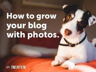 your blog
with photos.
How to grow
 