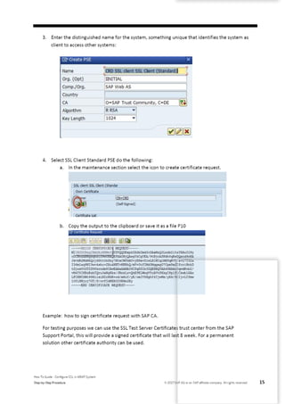How to guide configure ssl in abap system | PDF